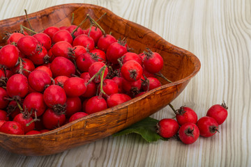 Hawthorn