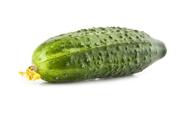 cucumber