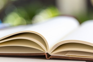 close up on open book pages