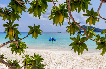 Fototapete bei efototapeten.de bestellen   