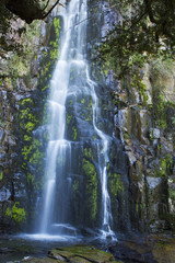 Fototapeta premium Swallowtail falls in Hogsback, South Africa