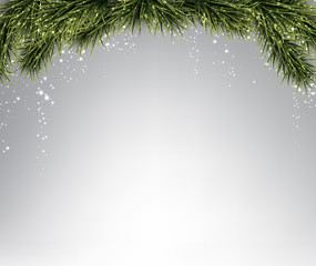 Fototapeta na wymiar Christmas background with spruce branches.