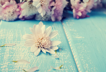 Little white flower on the blue colored wooden background