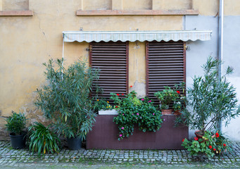 Shutters with plants