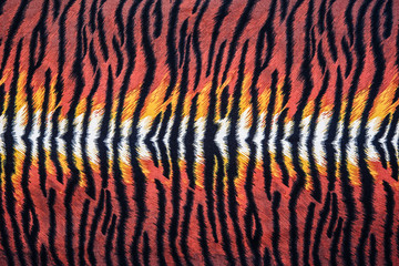 texture of print fabric stripes tiger