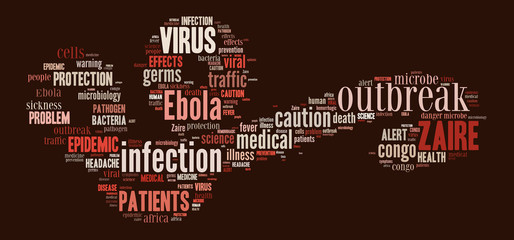 Obraz premium Ebola virus pictogram on red background