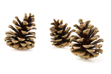 cones