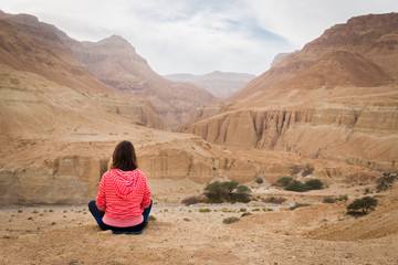 Fototapeta na wymiar Young woman sitting infront desert canyon on mountain edge