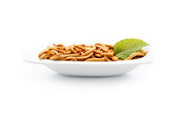 Healthy mealworms on white plate with decoration