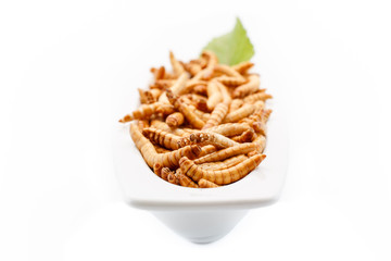 Healthy mealworms close up with decoration
