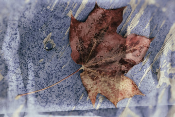 Herbst