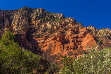Fototapeta na wymiar The Many Wonders of Sedona Arizona