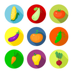 Vector set round icons with vegetables