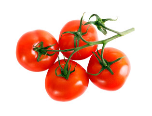 Ripe  tomatoes on white background