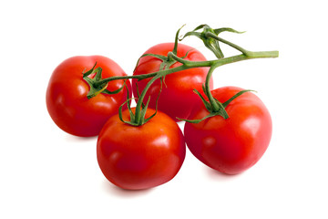 Ripe tasty tomatoes on white background