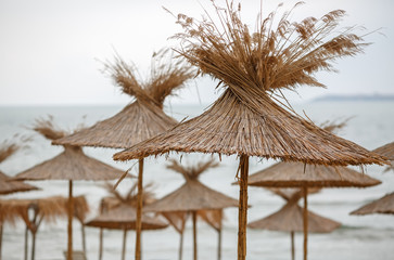 Group of straw umbrellas