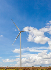 The wind turbines (windmills) against cloudy blue sky and golden