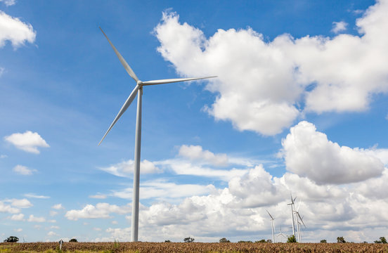 The group of wind turbines (windmills) for renewable electric en
