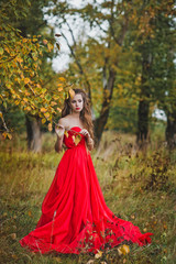 Obraz na płótnie Canvas The girl in a red dress 1291.