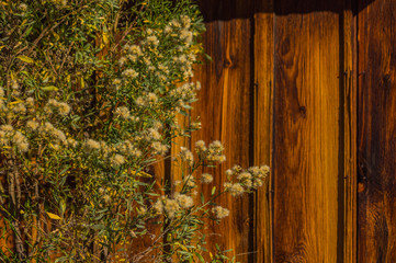 Old building wooden siding
