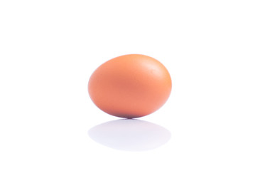 brown egg isolated on white background with reflection side view