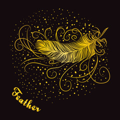 Decorative feather with curls on a dark background.