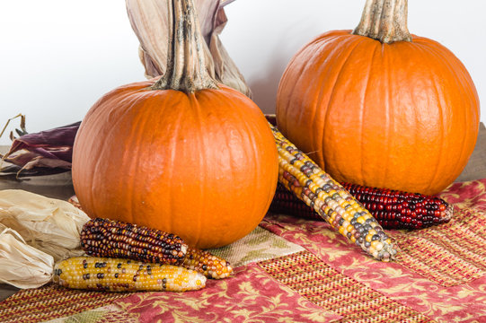 Orange pumpkins with colorful ears of corn