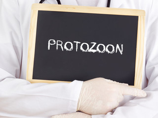 Doctor shows information: protozoon