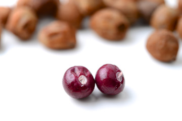 Bambarra Groundnut