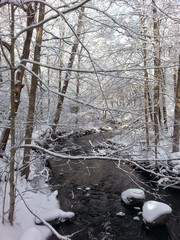 A creek in winter