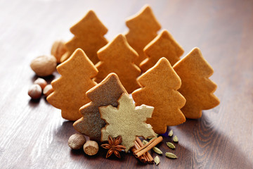 christmas gingerbread cookies