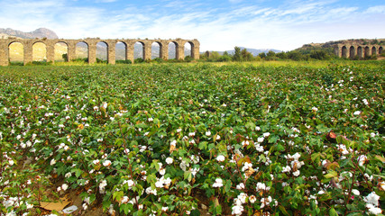 Fototapeta premium Aqueduct at Aspendos in Antalya, Turkey