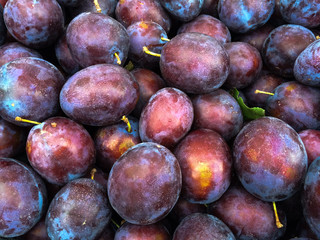 Ripe Plums (Blackthorns) at the farmers Market