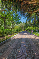 Villa Communale in Taormina, Sicily.