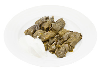 dolma from vine leaves and mince on plate