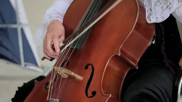 Woman Playing Cello. Close-up.