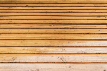 Fototapeta premium Wood