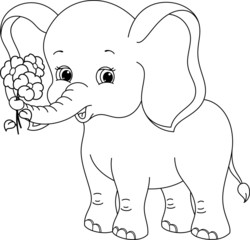 Elephant Seal Coloring Page Search photos proboscis