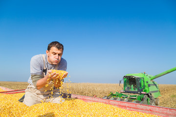 Farmer blowing dust from freshly harvested corn maize grains © oticki