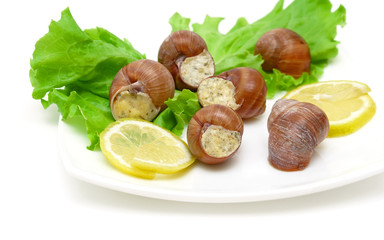 stuffed snails, lemon and lettuce leaves on a plate closeup