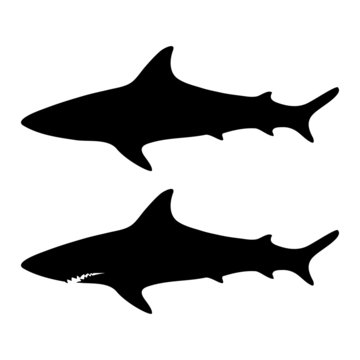 Silhouette shark, set