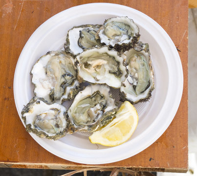 Fresh oysters.