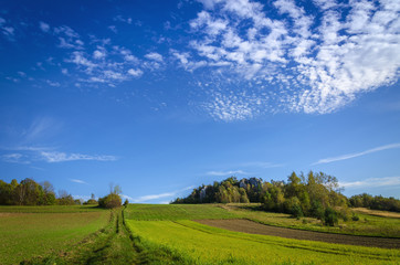 Idyllic landscape dirt road and amazing blue sky