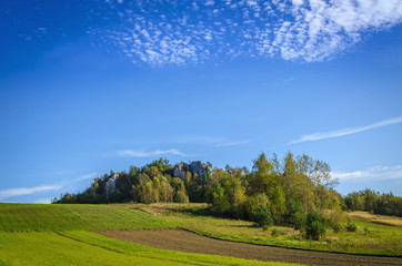Fototapeta na wymiar Idyllic landscape with an amazing blue sky