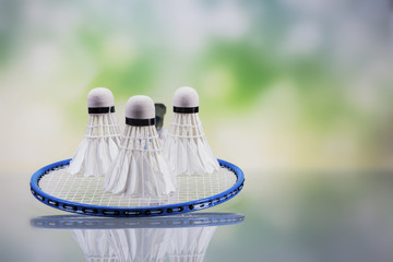 A set of badminton. Paddle and the shuttlecock.