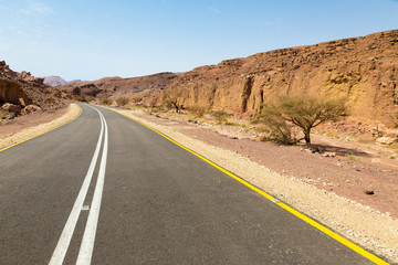 Desert asphalt road.