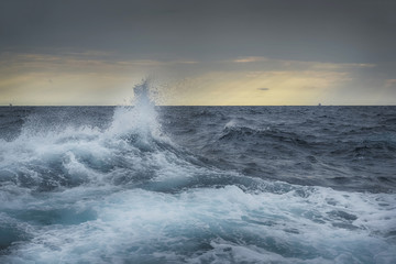 big wave in storm weather © tbaeff