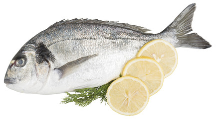 Bream with decoration of lemons and dill isolated