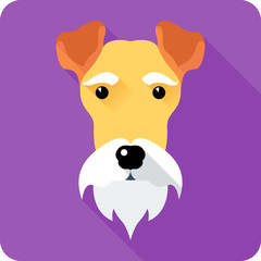 Fox Terrier dog icon flat design