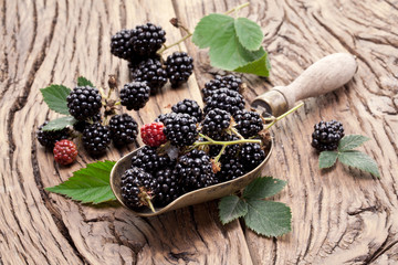 Blackberries with leaves on a old wooden table.